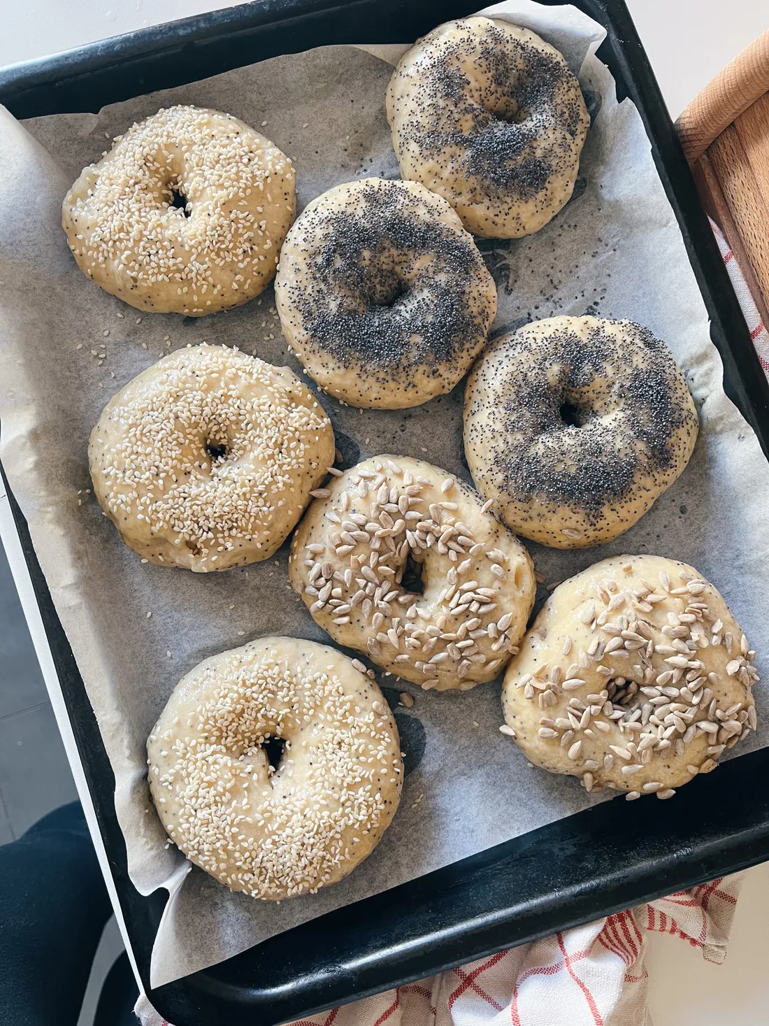 Osm syrových bagelů na plechu posypaných sezamem, mákem a slunečnicovými semínky před pečením