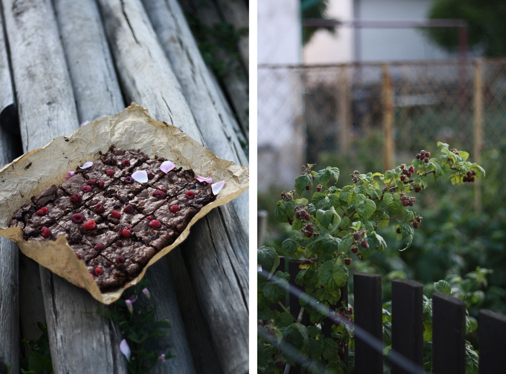 Nakrájené brownies s malinami na pečicím papíru a záběr malinového keře se zralými plody v zahradě.