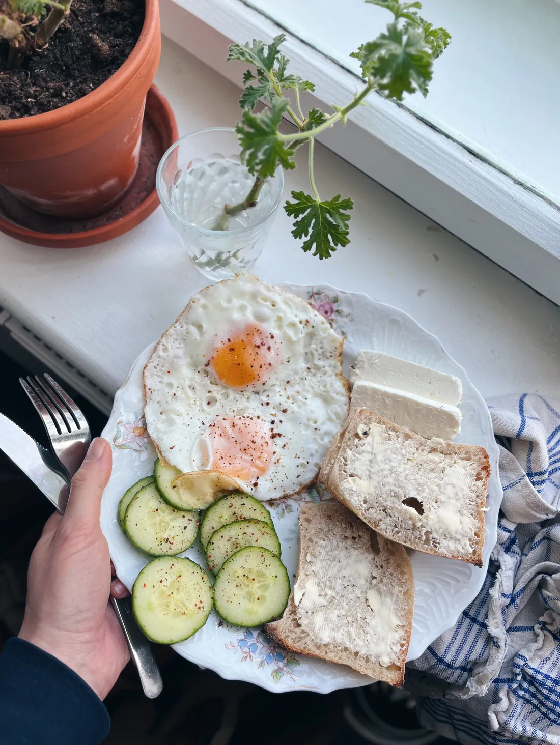 Snídaně na květinovém talíři: volská oka, okurky s chilli, plátky sýra a máslo na chlebu u okna