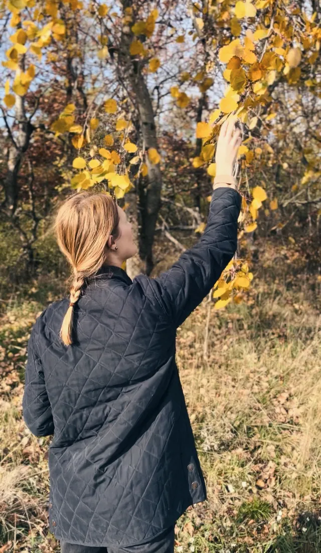 Žena v prošívané bundě s blonďatým copem sahá na větev se žlutým listím v podzimním lese