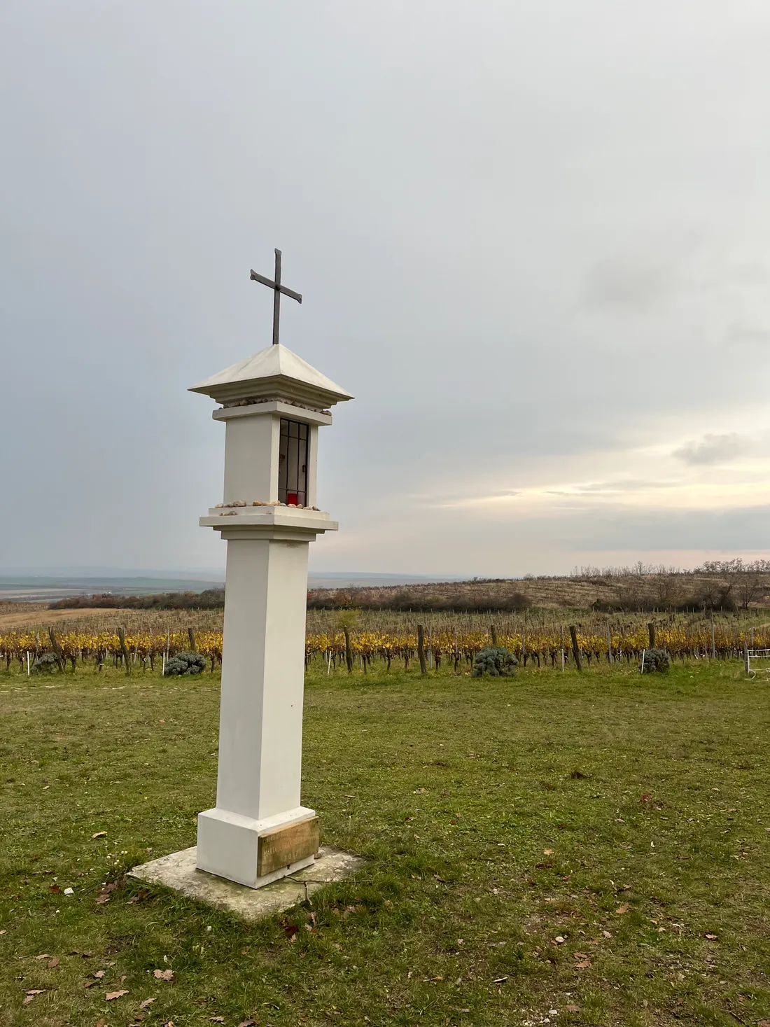 Bílé boží muka s křížem u vinic se žloutnoucími révami pod šedou oblohou na podzim