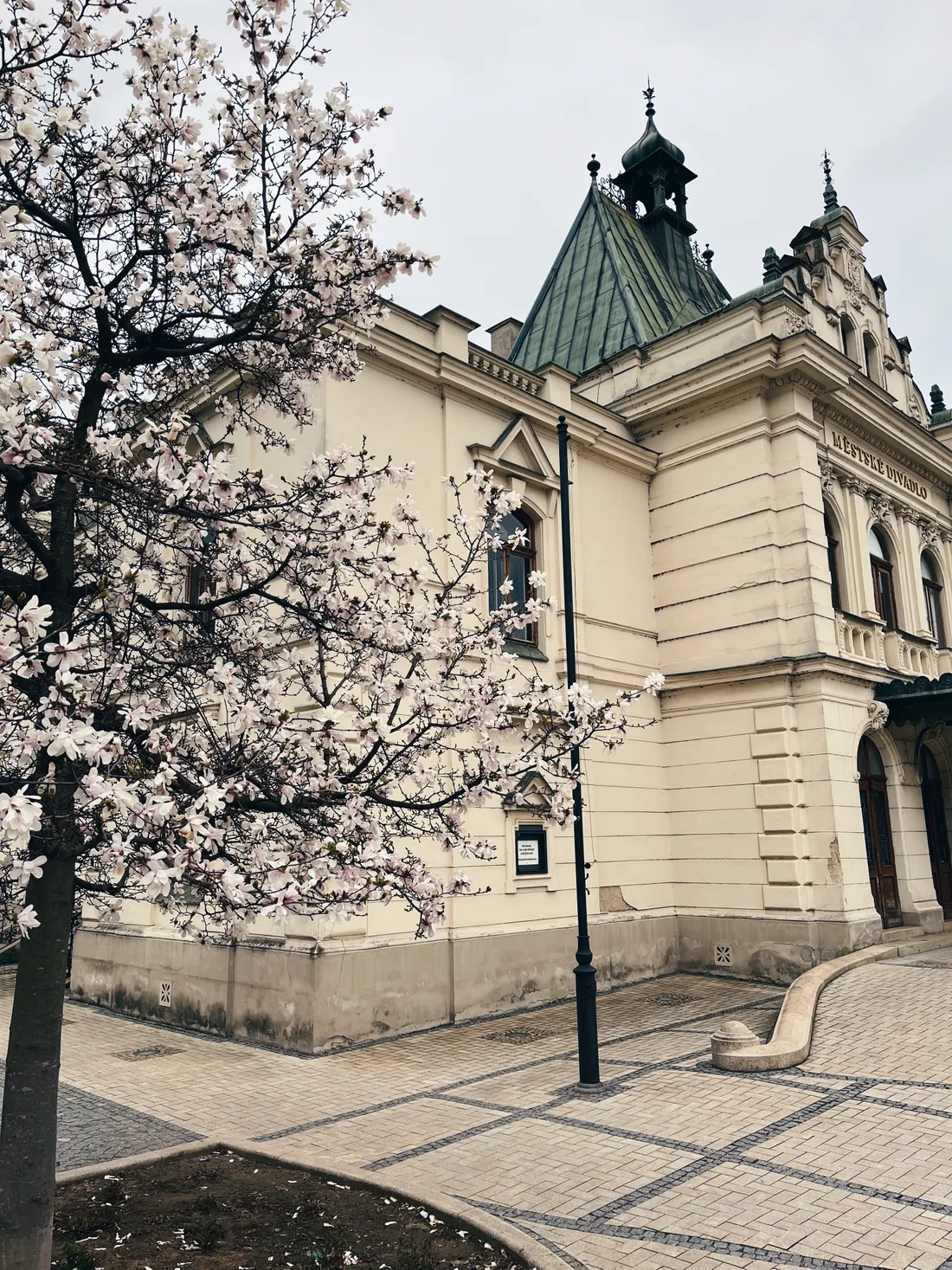 Kvetoucí strom před historickou budovou s nápisem Městské divadlo a dlážděným náměstím.