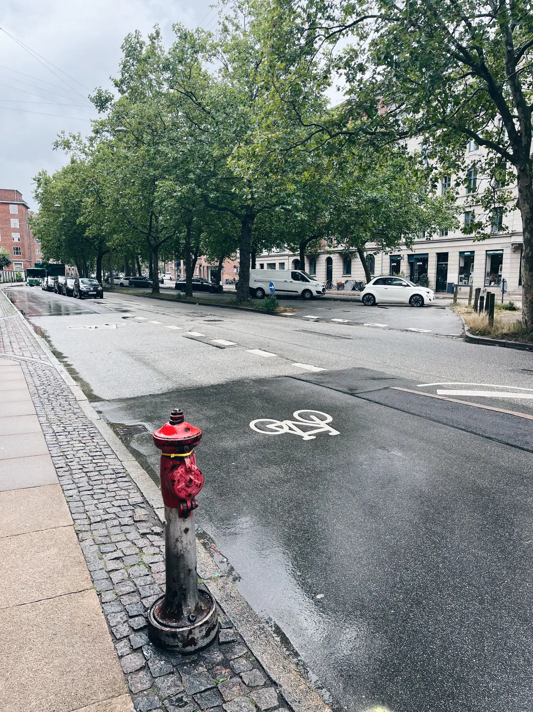 Červeno-stříbrný hydrant na mokrém chodníku u cyklostezky, za ním stromy a zaparkovaná auta v deštivém městě.