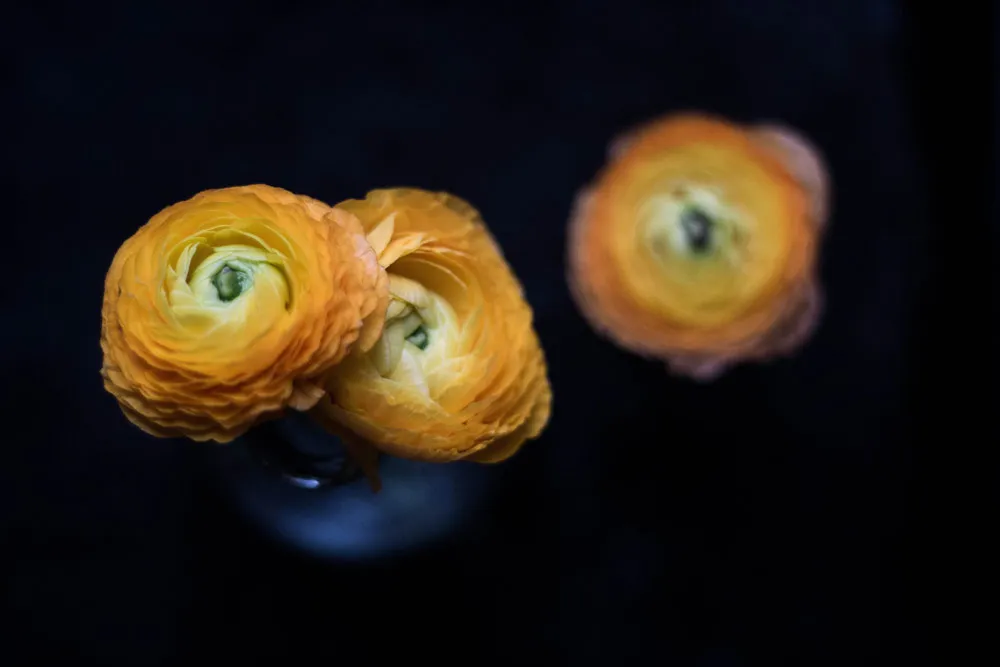 Když jsem přemýšlela, jaké parametry by mělo splňovat mé vysněné vánoční cukroví, vyvstanul mi v mysli kokos, čokoláda s svěží ci… (2. snímek)