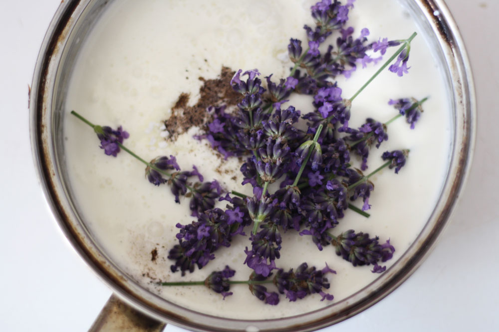 Čerstvé snítky levandule a mleté koření ve smetaně v nerezovém hrnci při přípravě levandulové panna cotty.