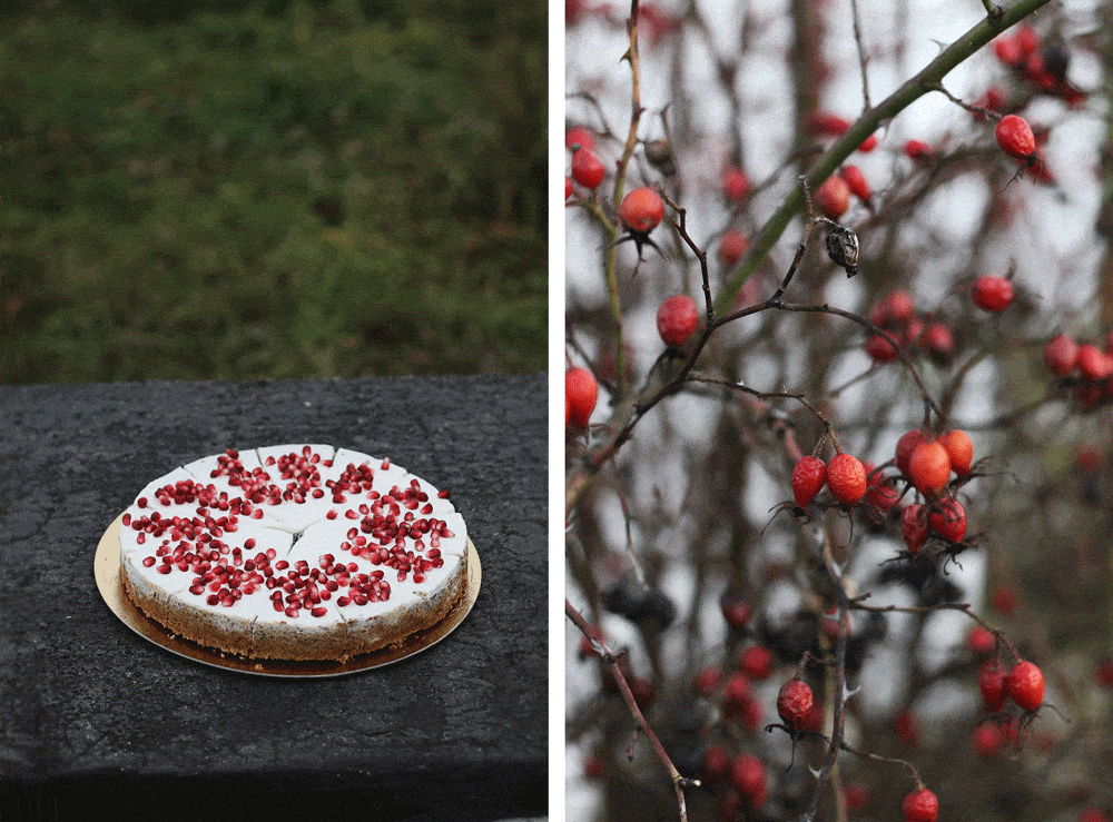 Makový cheesecake je moc dobrá věc.