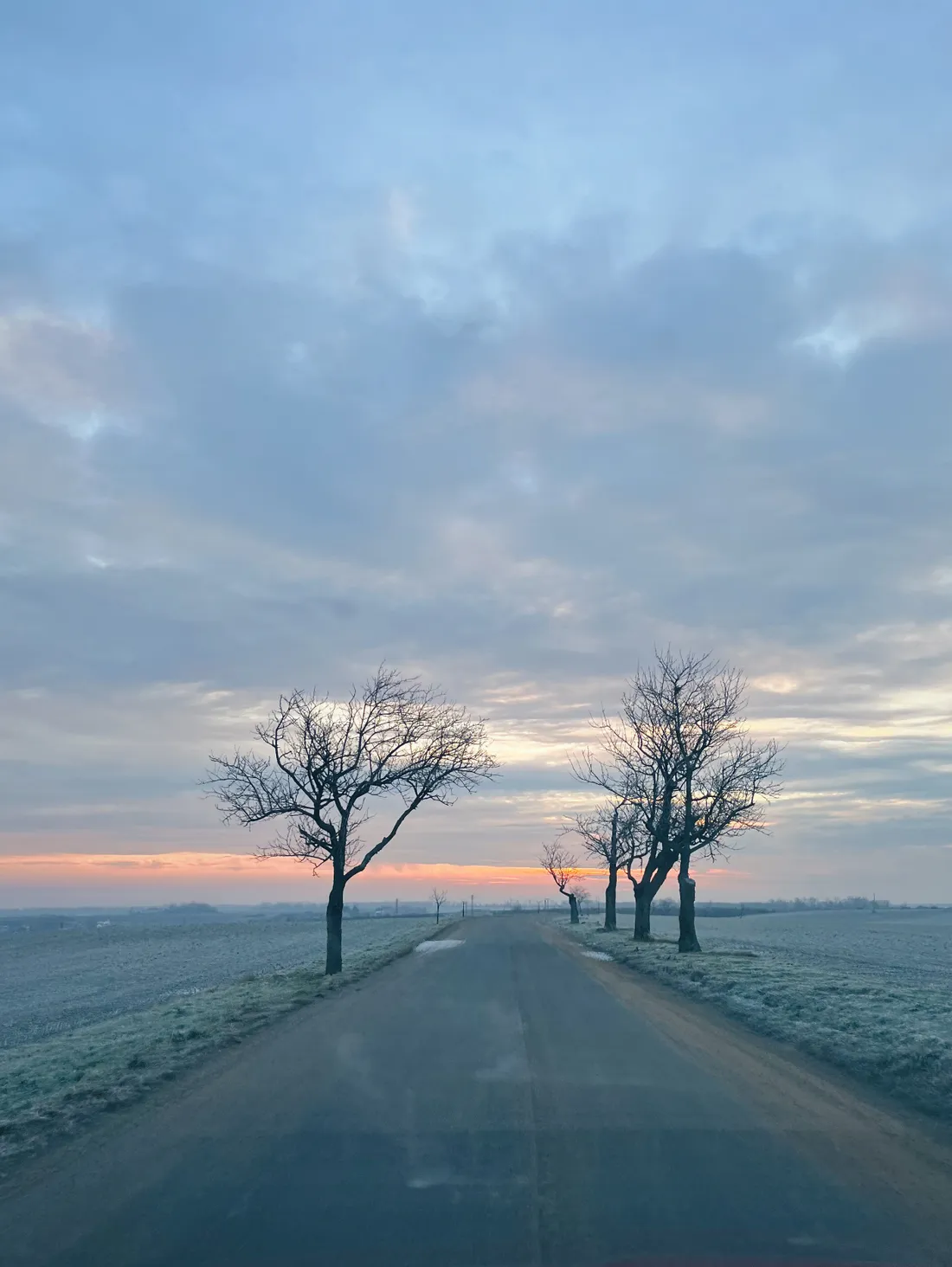 Zamrzlá silnice mezi poli při východu slunce, holé stromy a růžová obloha nad mlhou.