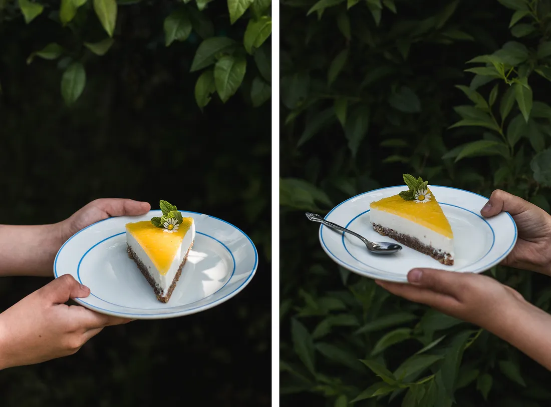 Řez nepečeného cheesecaku s mangovou vrstvou, mátou a sedmikráskou držený v rukou v zeleném listí.