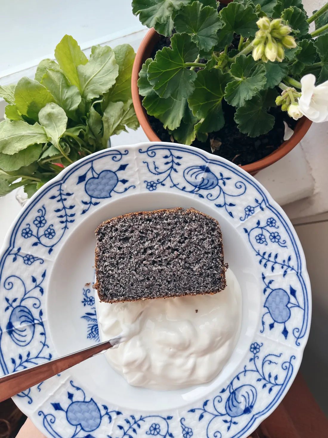 Řez tmavého makového koláče s bílým krémem a lžičkou na talíři s modrým cibulovým vzorem u pelargonie.