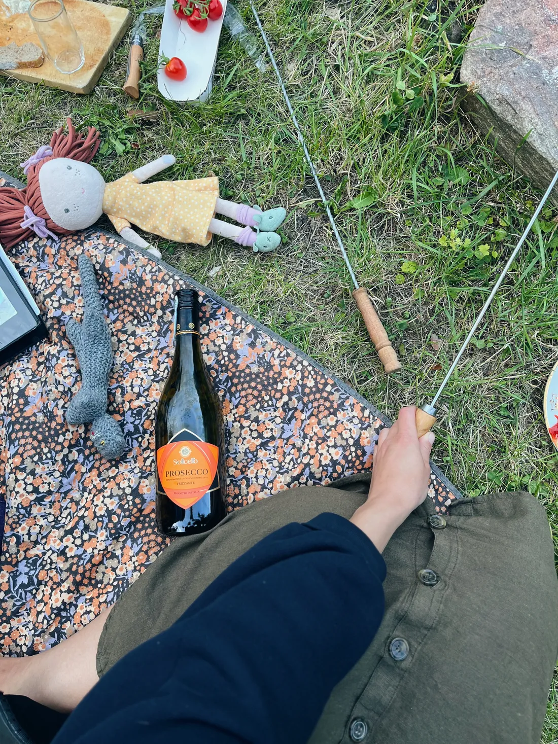 Piknik na trávě s lahví prosecca, jahodami a panenkou, ruka drží špejli na opékání.