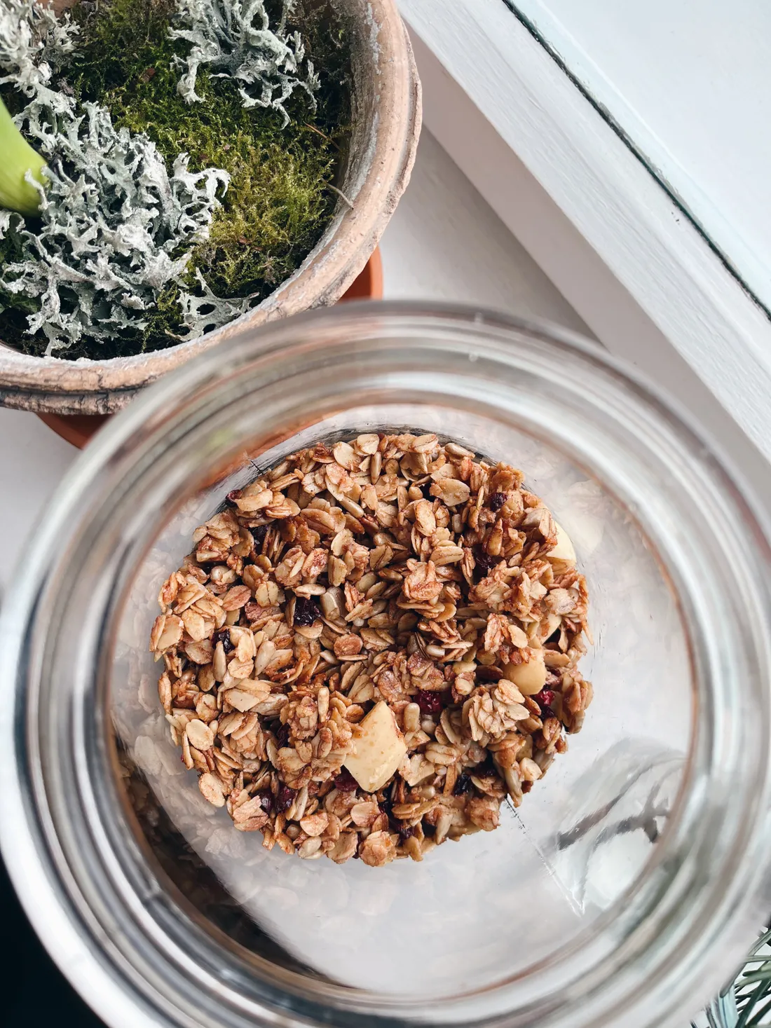 Sklenice granola s ovesnými vločkami, oříšky a semínky vedle terakotové nádoby s mechem na parapetu.