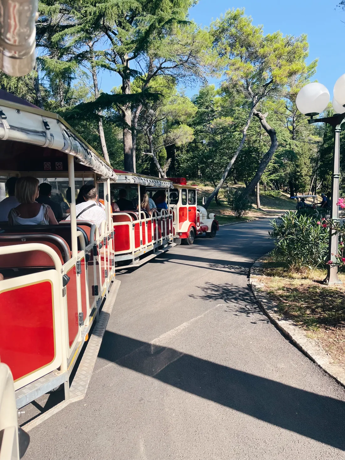 Červený turistický vláček s cestujícími projíždí parkem mezi vysokými jehličnany na slunečný den.