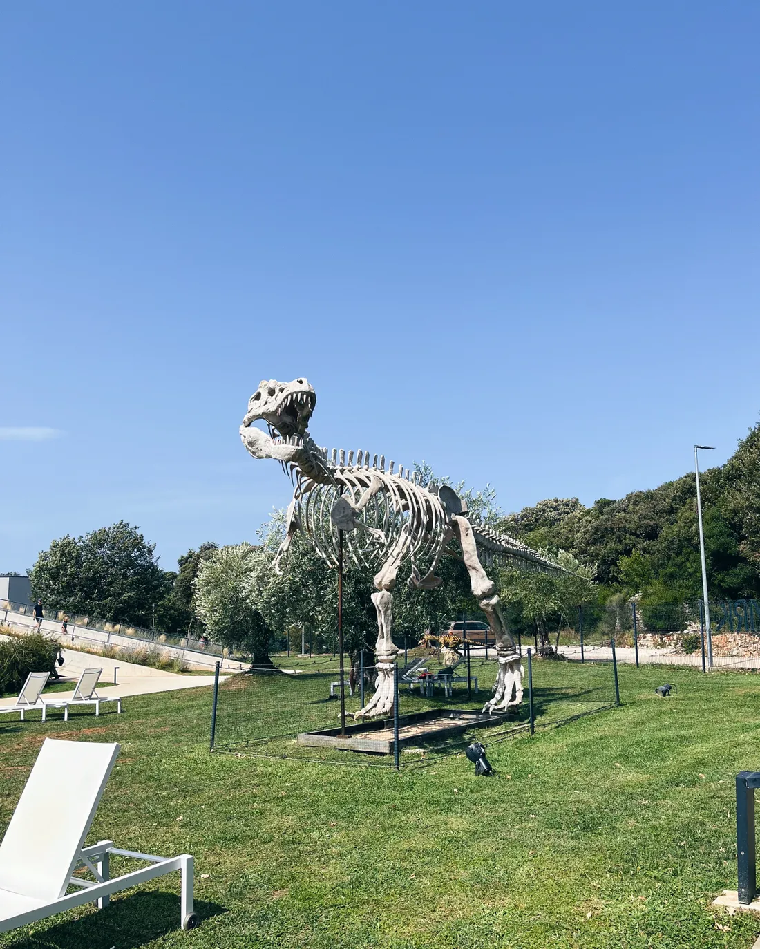 Životní velikostní kostra T-rexe na trávě v parku pod jasnou oblohou.