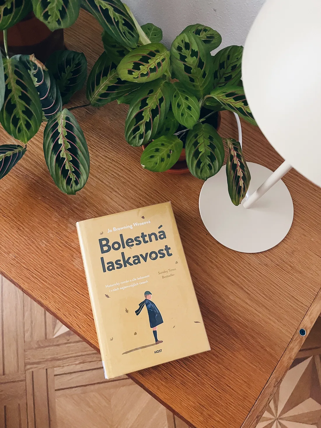 Kniha Bolestná laskavost na dřevěném stole vedle pokojové rostliny a bílé lampy.