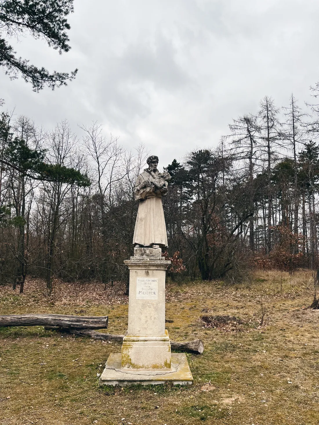 Kamenná socha muže držícího dítě na podstavci v parku s holými stromy pod zamračenou oblohou.