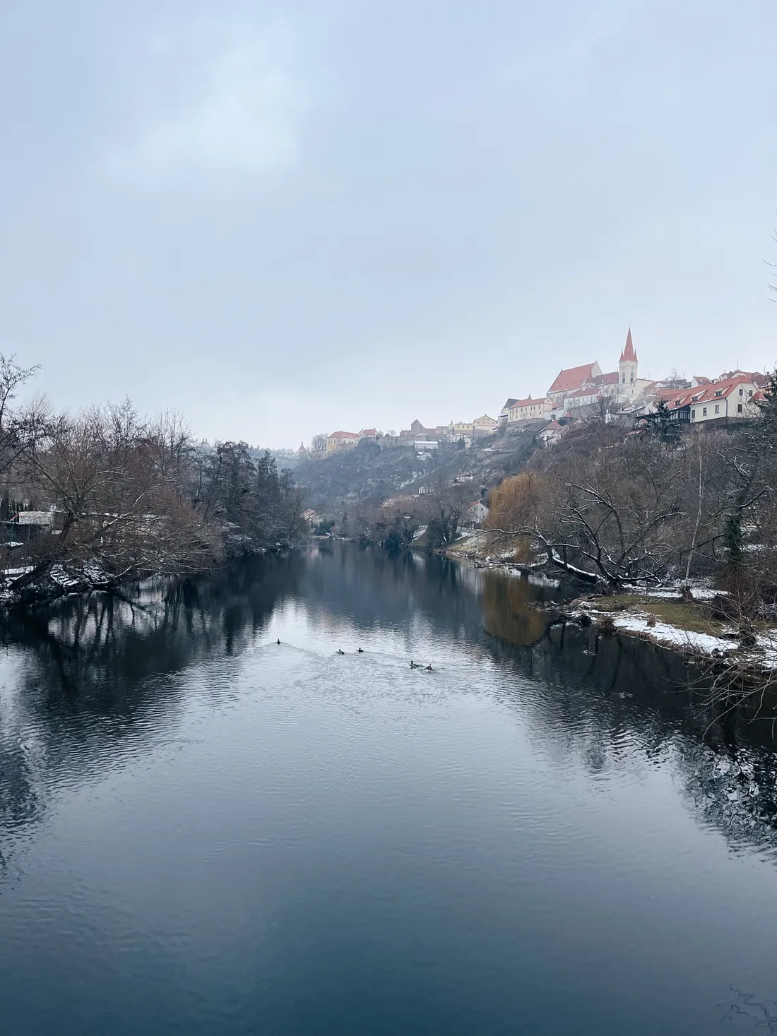Klidná řeka s kachnami v zimě, na kopci historické město s červenou kostelní věží a holými stromy.