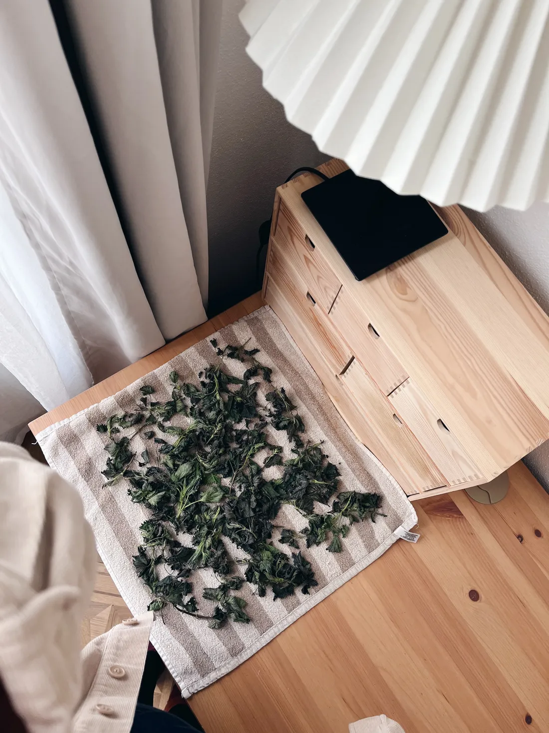 Sušené kopřivy na pruhovaném ručníku na stole vedle dřevěné skříňky.