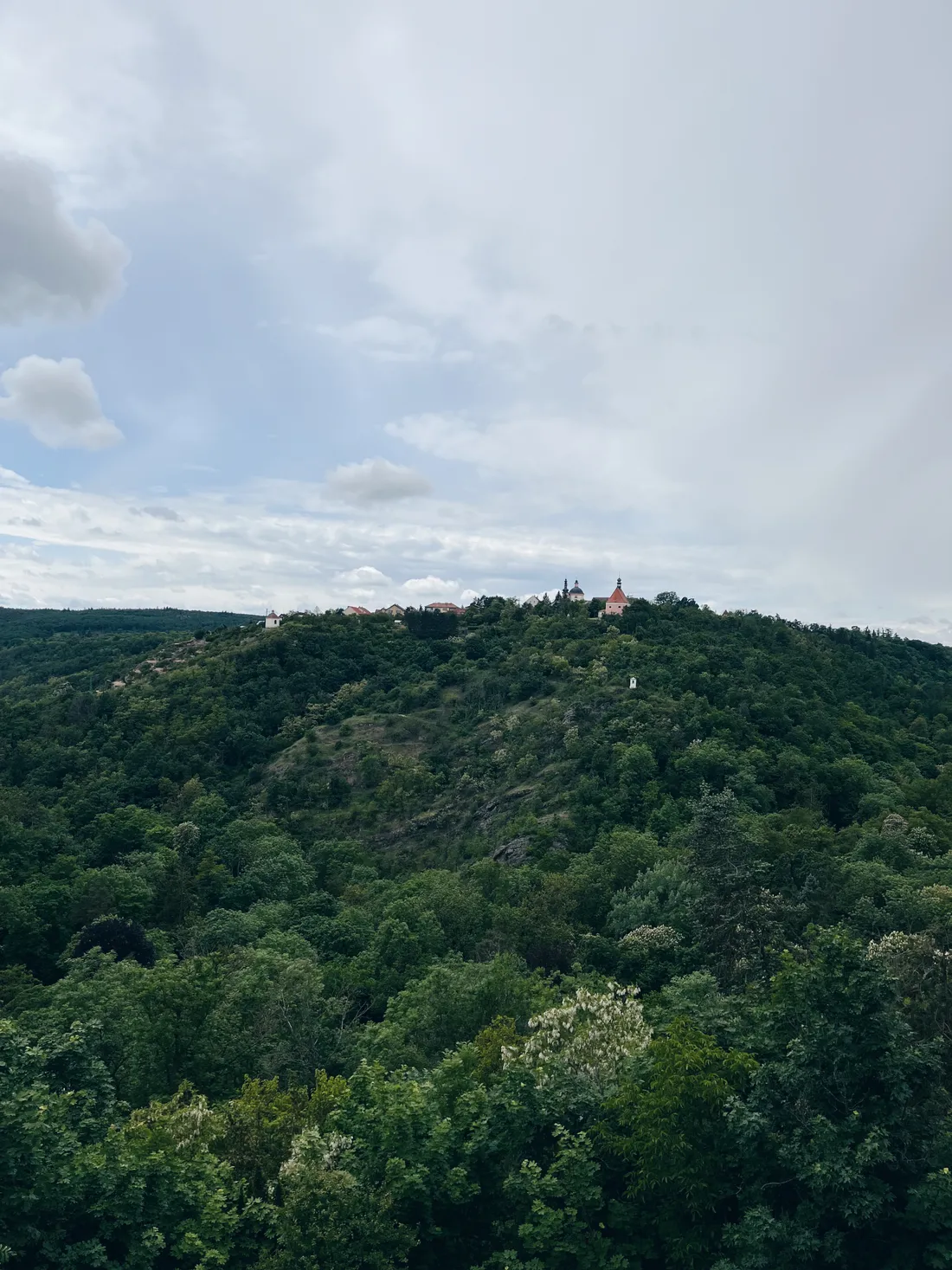 Zelený zalesněný kopec s kostelem a budovami na hřebeni pod oblačnou oblohou.