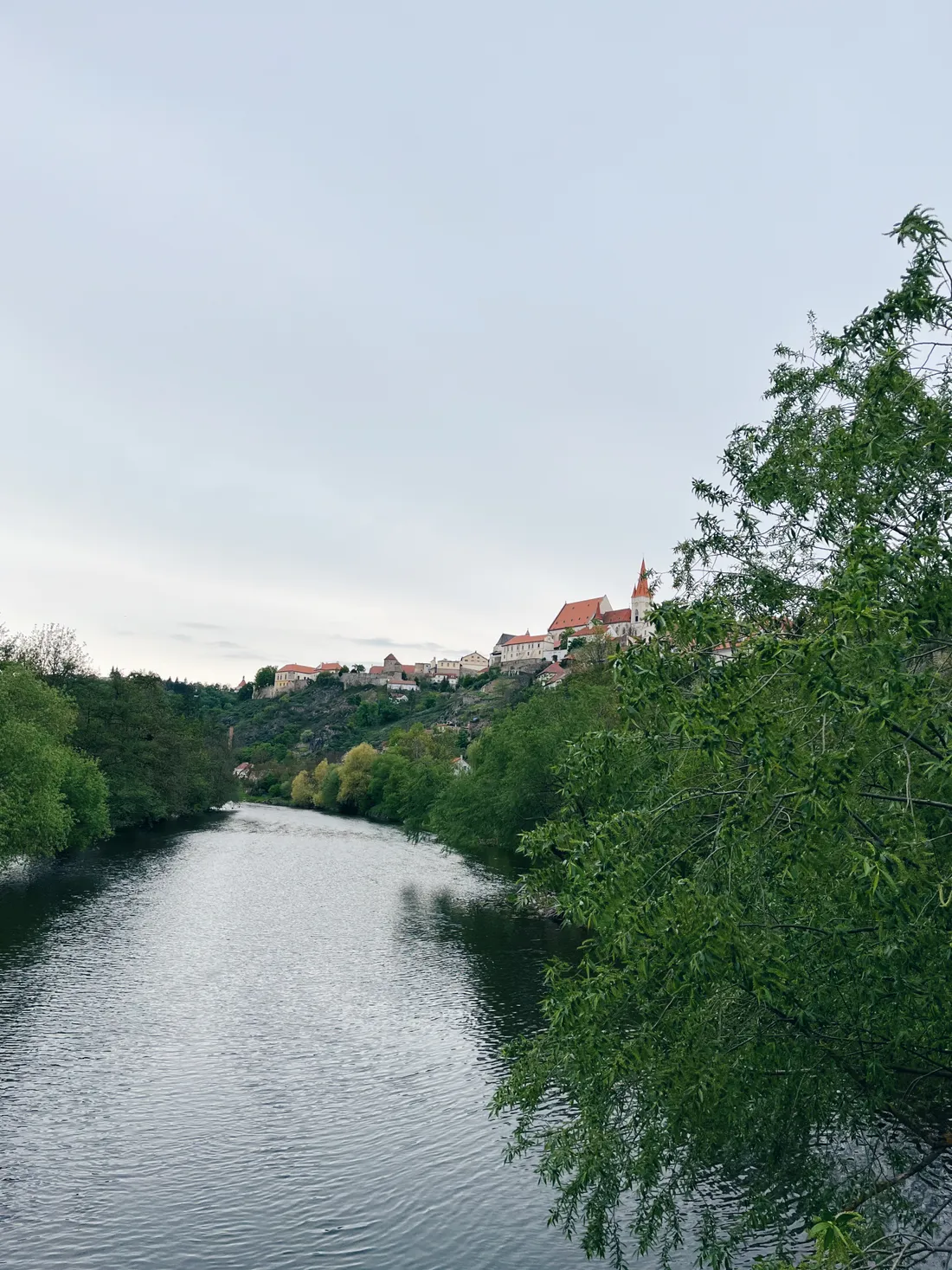 Pohled na řeku Dyji se zelenými břehy, v pozadí historické Znojmo s kostelem na kopci.