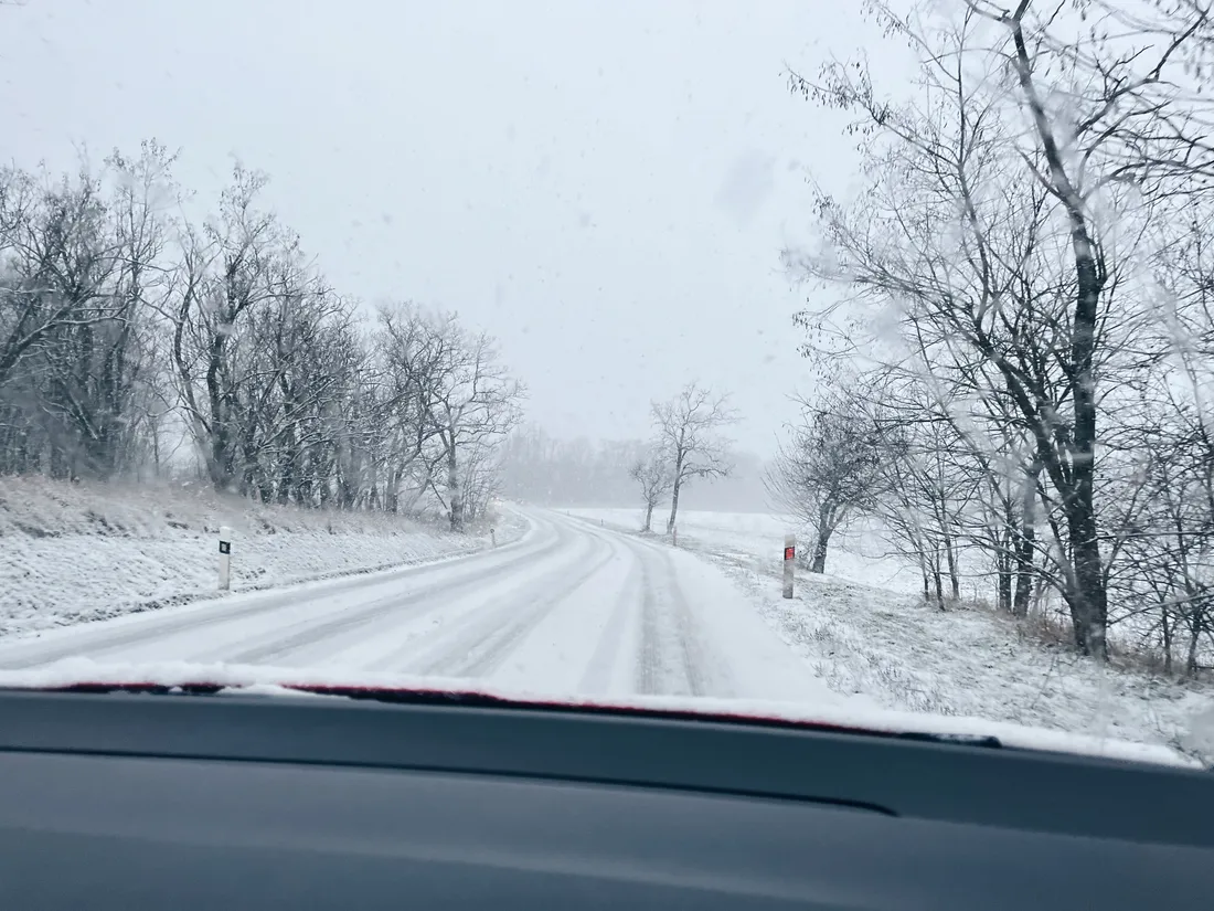 Pohled z auta na zasněženou silnici s otisky pneumatik mezi holými stromy za mlhavého počasí.