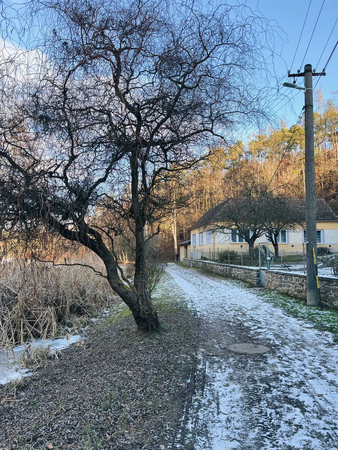 Zasněžená cesta mezi holými stromy k žlutému domu s modrými okenicemi, v popředí vysoký stožár.