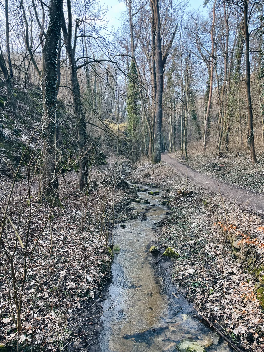Průzračný potok protékající listnatým lesem s holými stromy, vedle vyšlapané pěšiny se spadaným listím.
