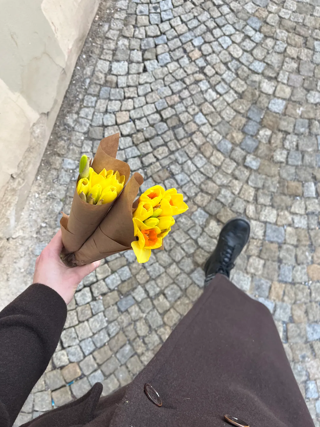 Ruka v hnědém kabátu drží dvě kytice žlutých narcisů v hnědém papíru na dlážděné ulici.