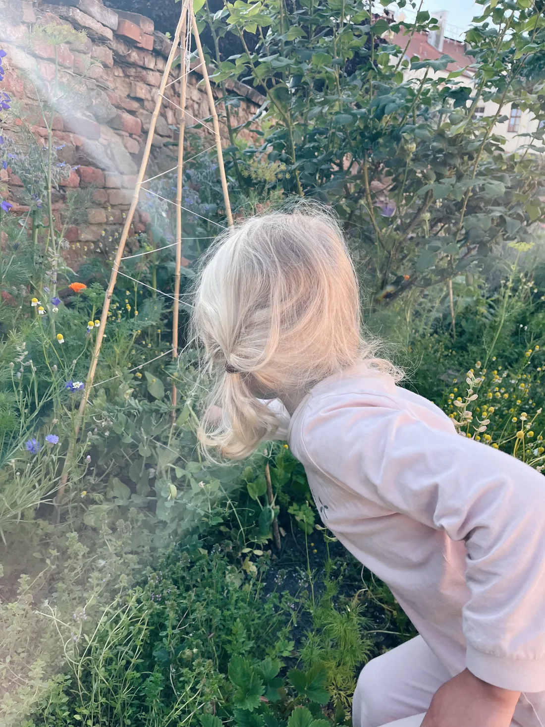 Blond dítě se sklání nad kvetoucí zahradou s bylinkami a dřevěnou oporou u cihlové zdi.