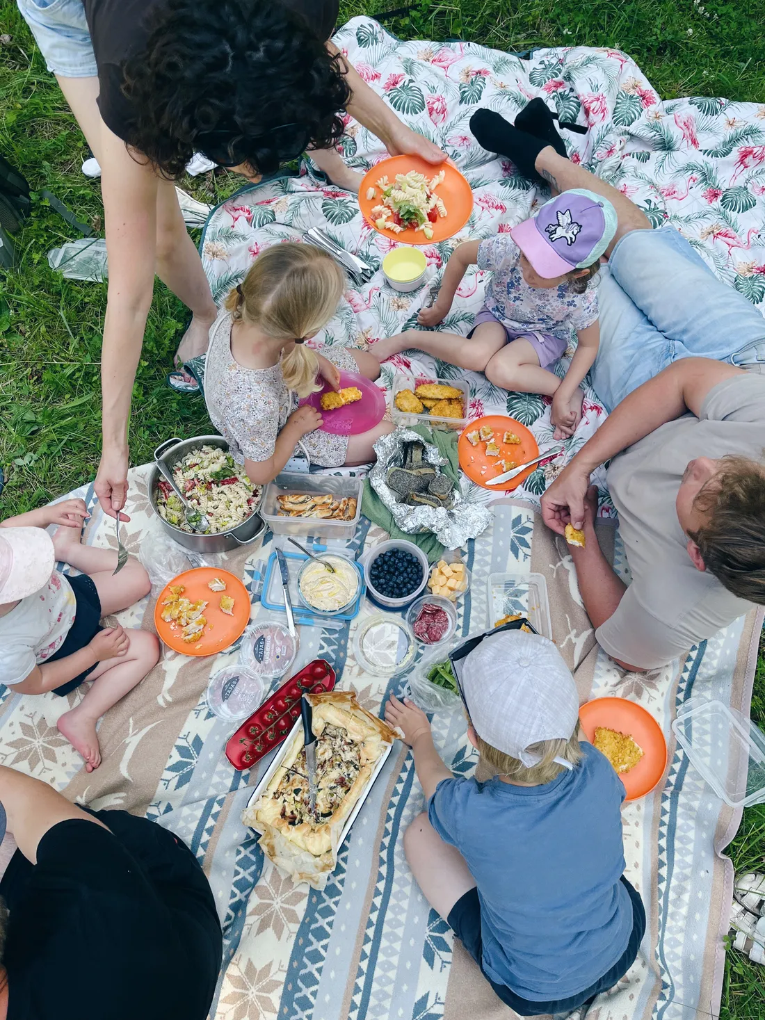 Rodinný piknik na dekách v trávě s těstovinami, quiche a ovocem, pohled shora.