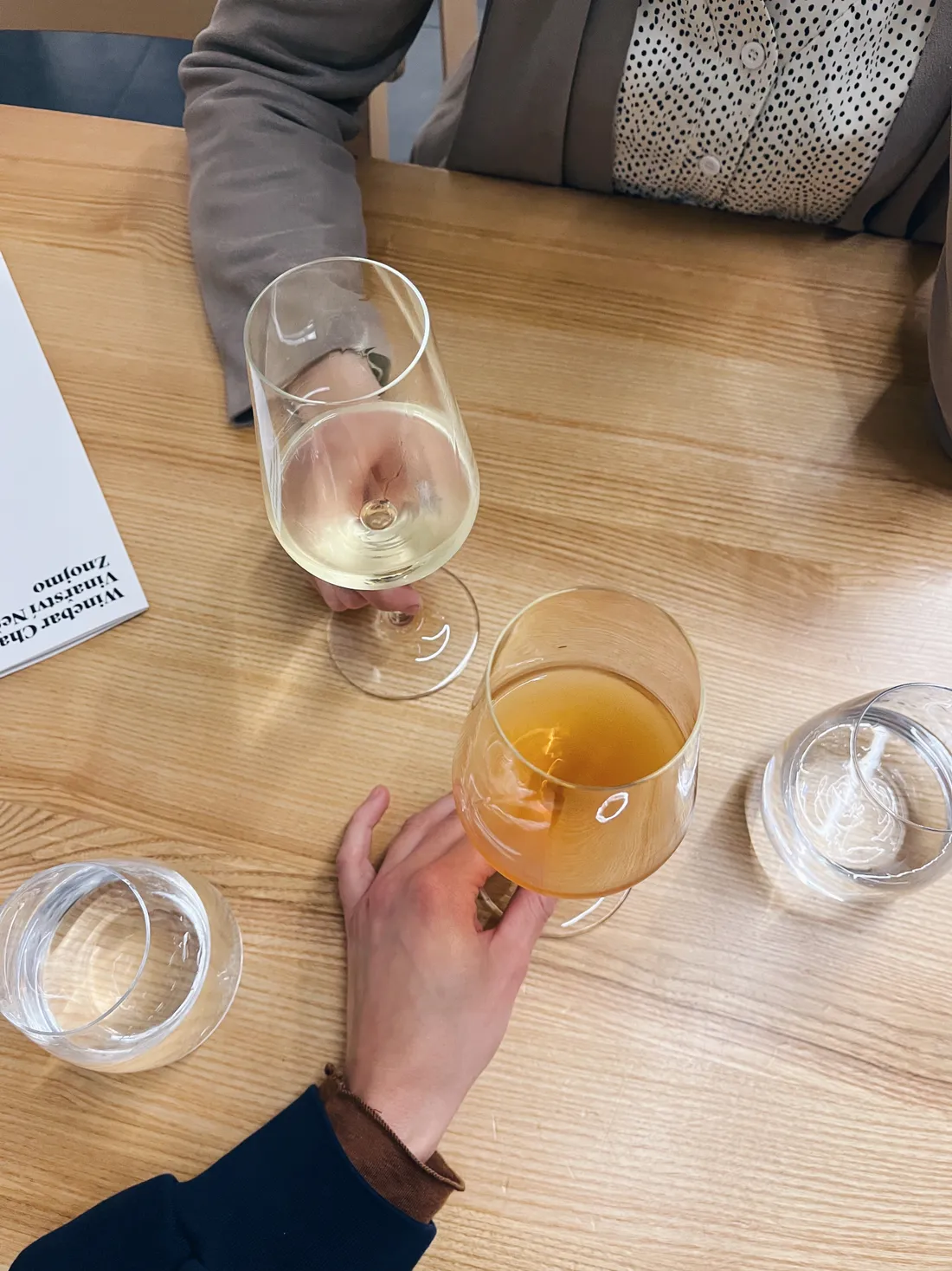 Sklenička vína ve Winebar Chatka ve Znojmě
