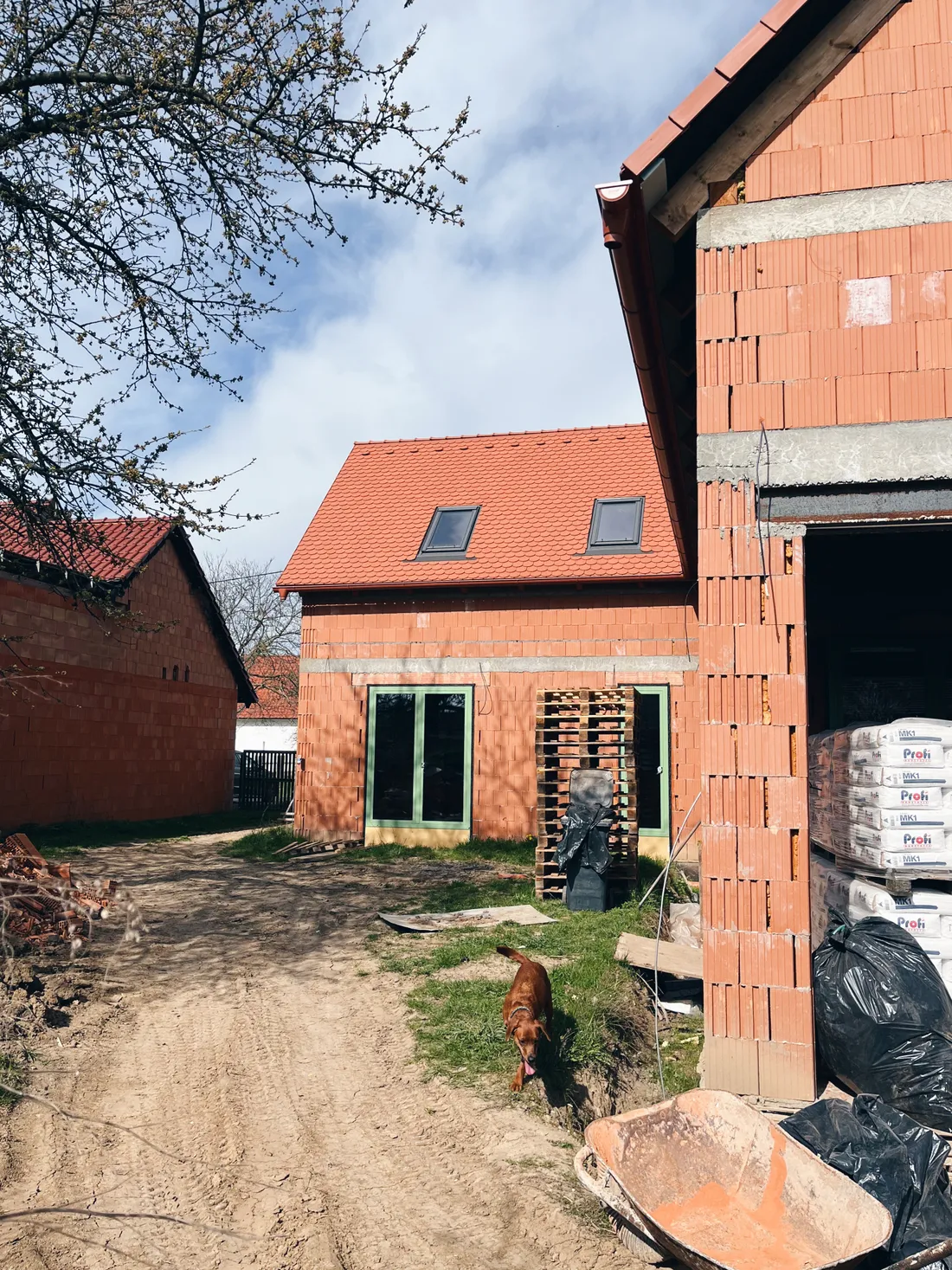 Novostavba z červených cihel s červenou střechou, hnědý pes běží po dvorku s paletami.