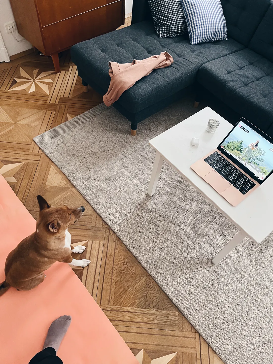 Pes sedí na růžové podložce, notebook s cvičením na bílém stolku v obýváku.