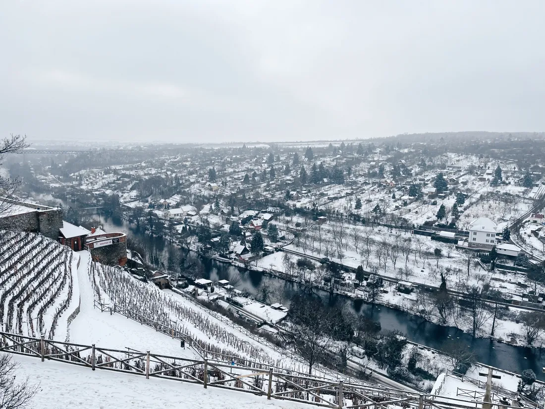 Zasněžená vinice na svahu nad řekou, v pozadí zasněžené městečko pod šedou oblohou.
