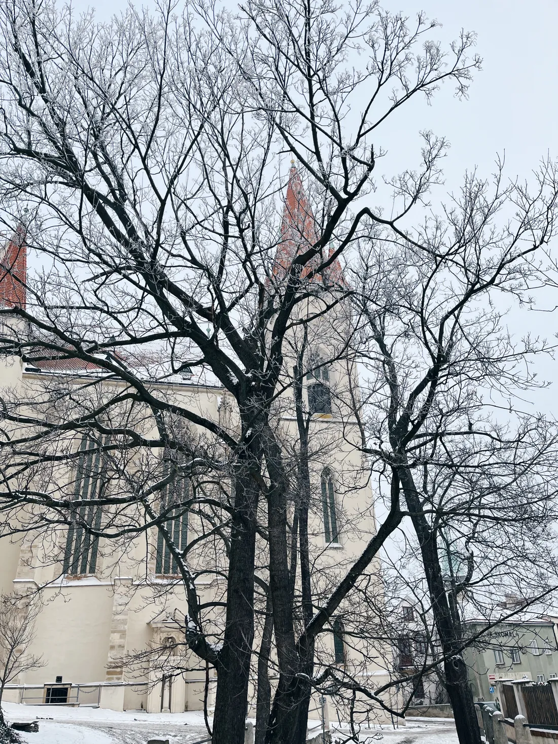 Ojíněný strom před kamenným kostelem s červenou střechou a věží ve sněhu pod šedou oblohou.