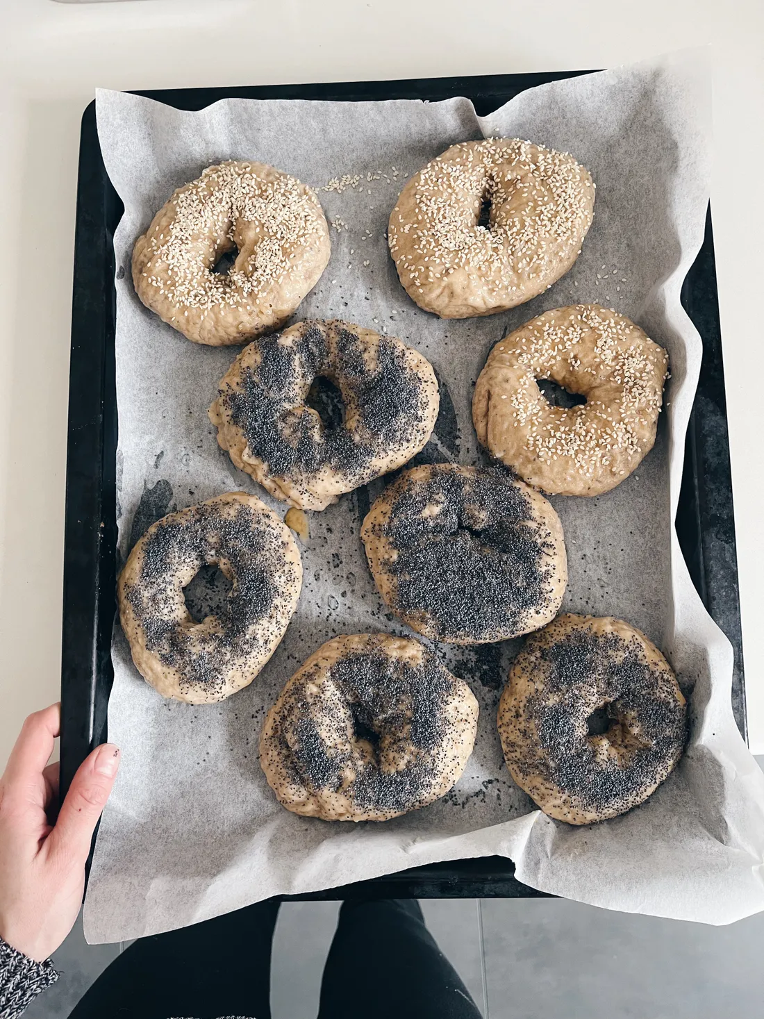 Osm upečených bagelů na plechu, polovina se sezamem a polovina s mákem, drženém v ruce nad linkou.