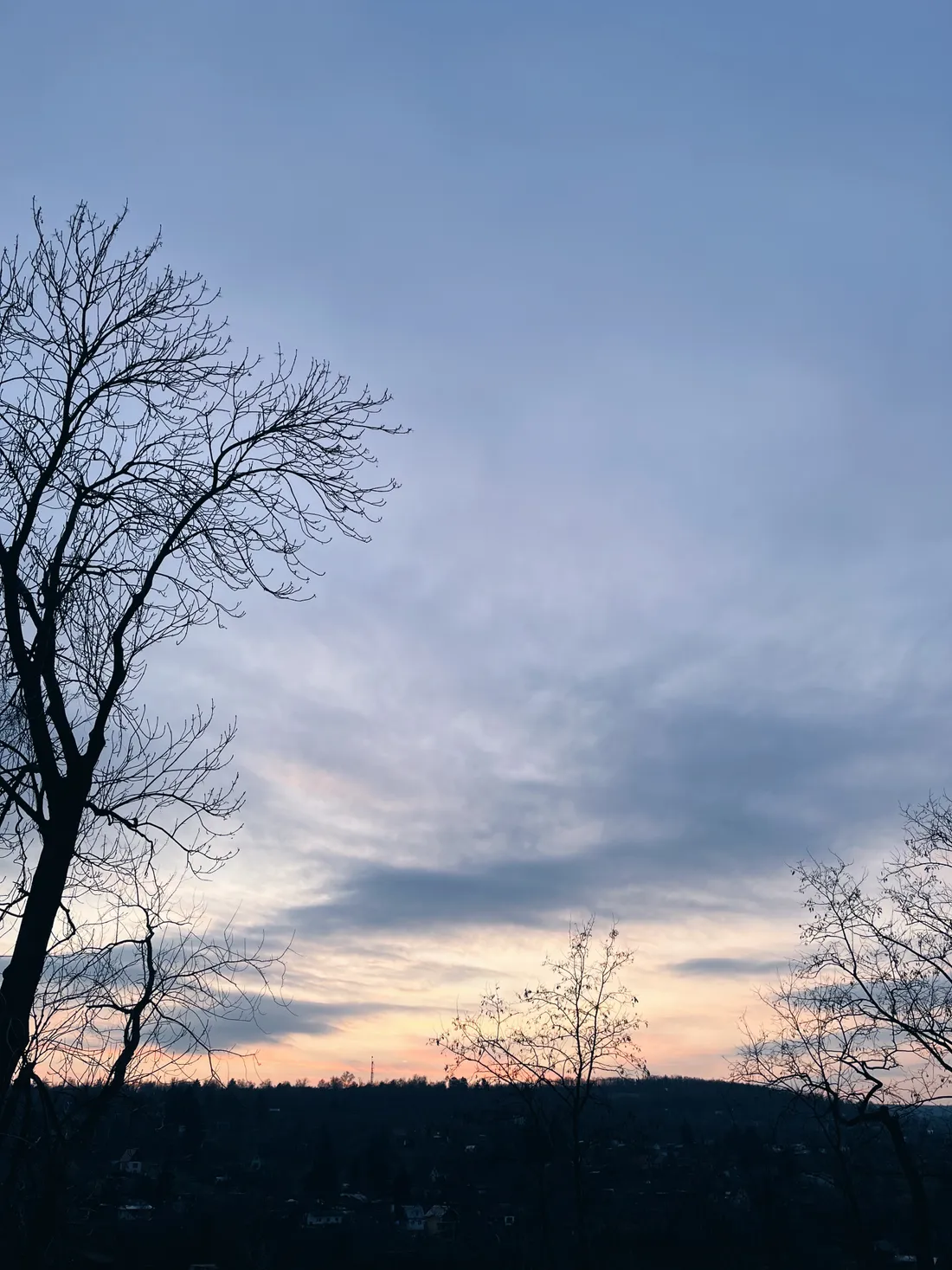 Večerní obloha s oranžovou září u horizontu a siluetami holých stromů.