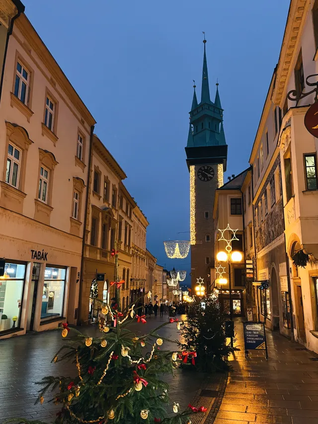Vánočně vyzdobená ulice ve Znojmě se stromkem v popředí a osvětlenou Radniční věží za soumraku.