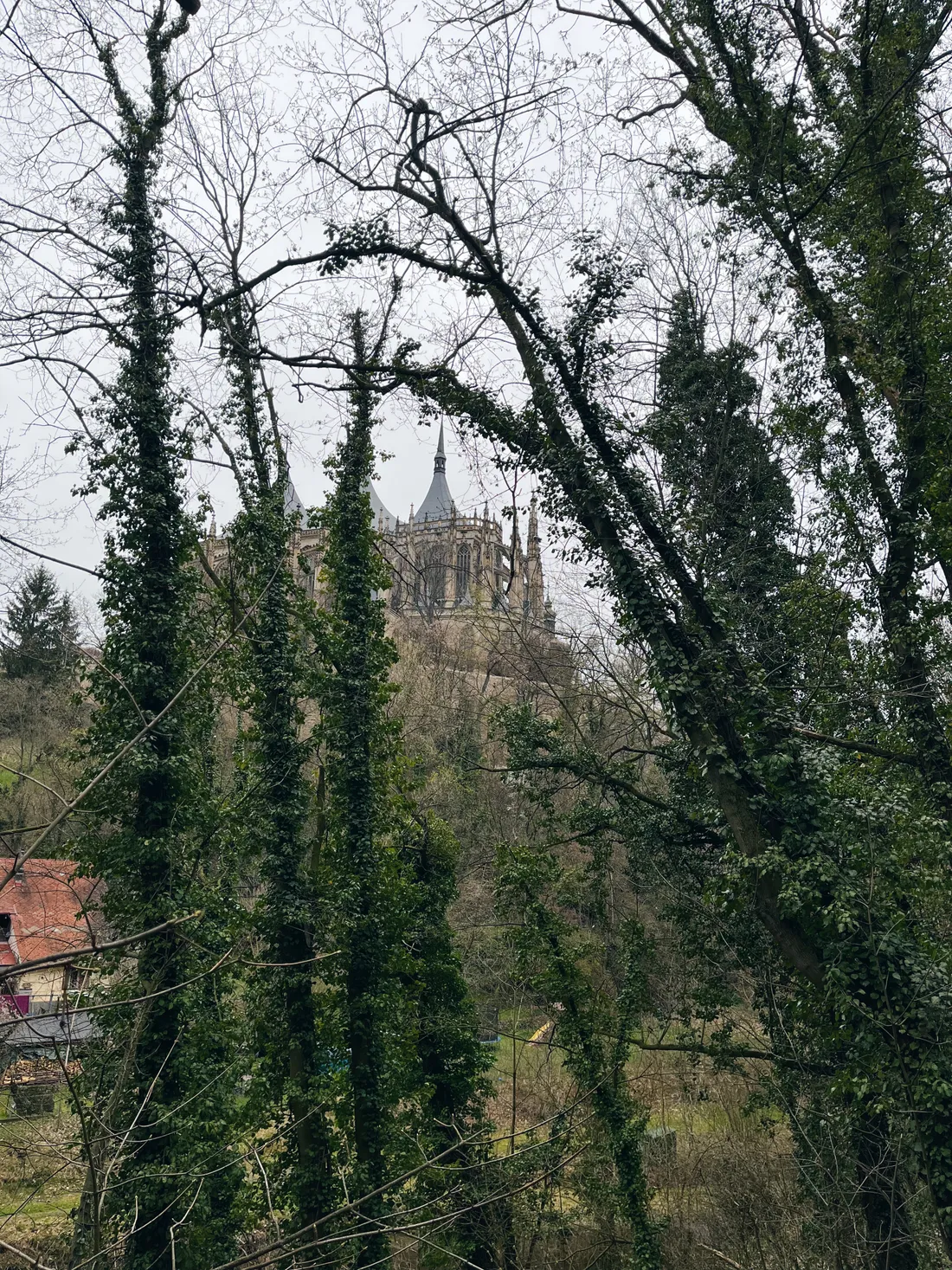 Chrám sv. Barbory nad Kutnou Horou mezi stromy obrostlými břečťanem.