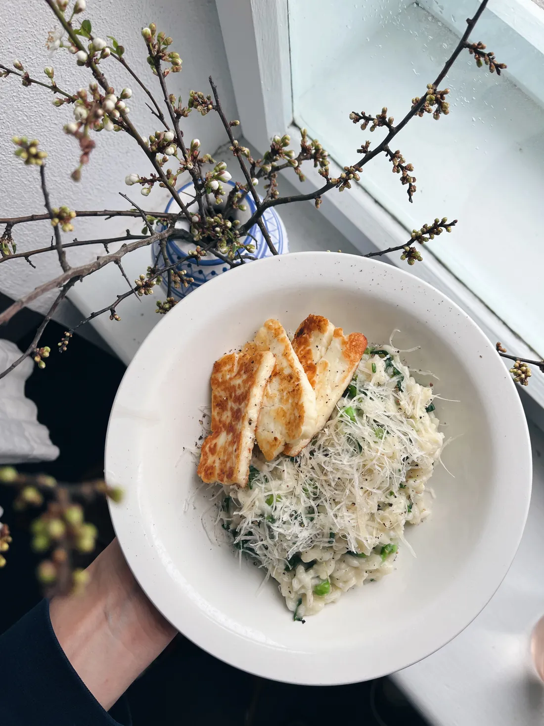 Mísa risotta s hráškem, halloumi a parmazánem držená u okna s kvetoucími větvičkami.