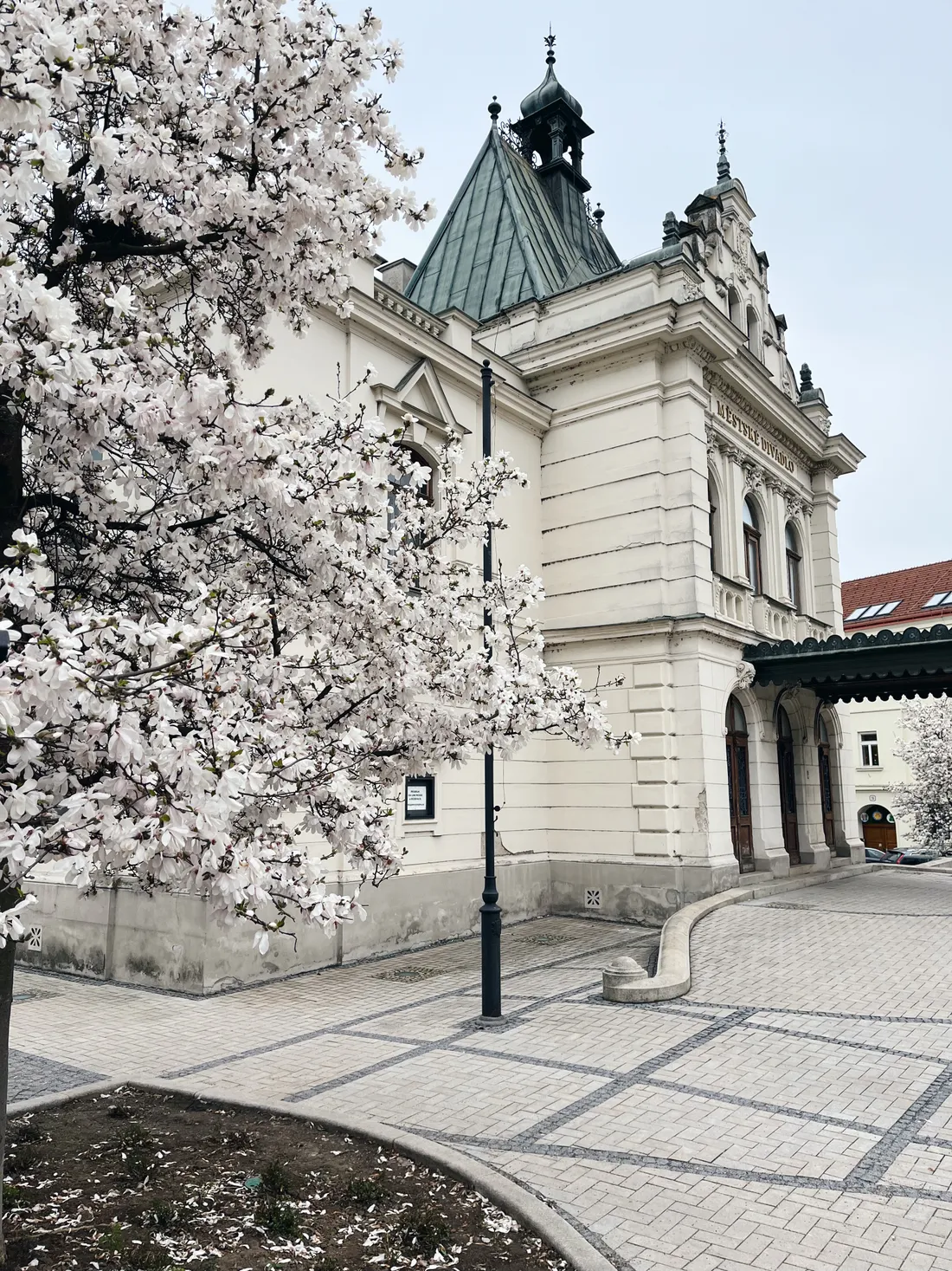 Bílá historická budova městského divadla se zelenou střechou, v popředí kvetoucí strom s bílými květy a dlažba.