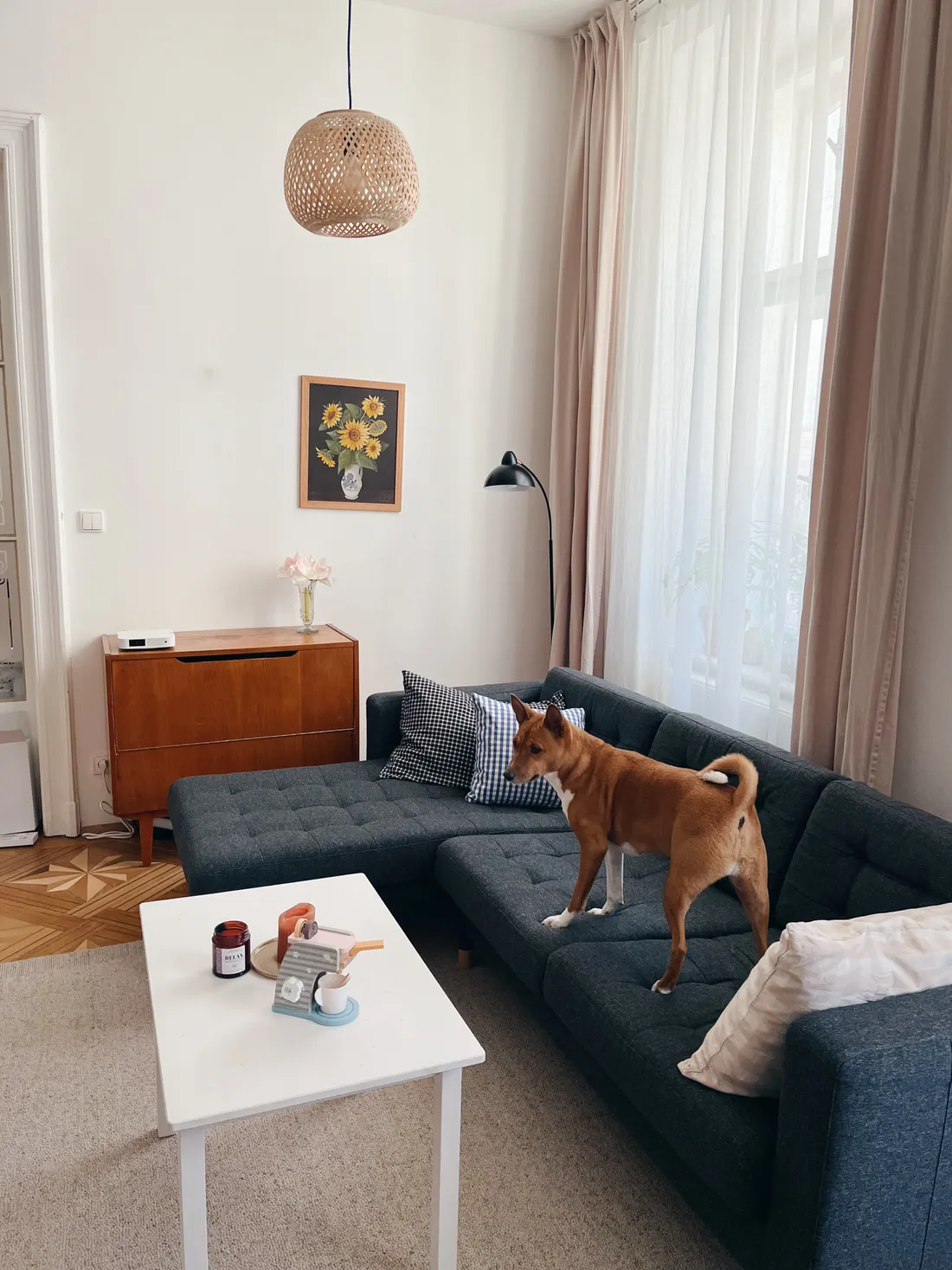 Hnědý pes stojí na tmavě šedé rohové sedačce v obývacím pokoji s dřevěnou komodou a oknem.